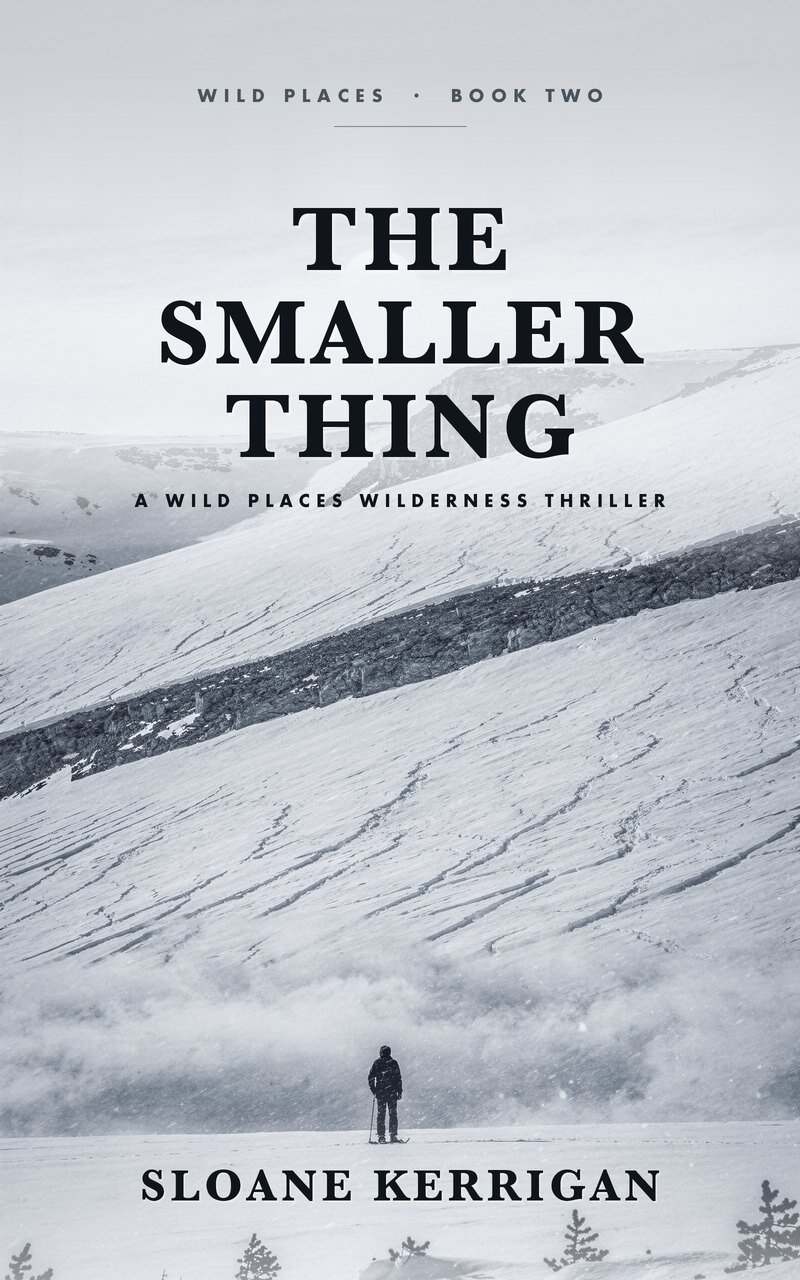 The Smaller Thing cover